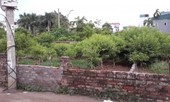 Mua đất xen kẹt Hà Nội, trượt cú thắng lớn 2 tỷ, ôm nợ hơn 10 năm