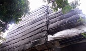 Loạt quy định xử phạt lĩnh vực xây dựng, bất động sản bị xóa bỏ