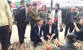 Bộ trưởng Công Thương mua gà, kiểm tra tình hình thị trường Tết tại Lạng Sơn