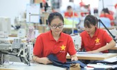 Lao đao vì dịch COVID-19, 8 tập đoàn Nhà nước lo lỗ hơn 26.000 tỷ đồng