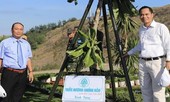 Trầm hương Khánh Hòa trao tặng vườn hoa tại cột cờ Thới Lới cho huyện đảo Lý Sơn