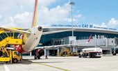 Bản tin 8H: Đàn trâu gặm cỏ ở khu đường lăn sân bay Cát Bi