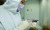 Việt Nam đủ năng lực, sinh phẩm xét nghiệm dịch bệnh Covid-19