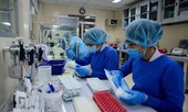 Việt Nam ở đâu trên bản đồ COVID-19 của thế giới?