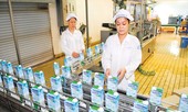 Thoái vốn nhà nước: Càng chuyên nghiệp hiệu quả càng cao