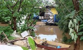 Xóm nổi sông Hồng tiêu điều mùa nước lũ