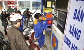 Vì sao xăng sinh học E5 khó hút người dùng?
