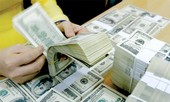 Dự trữ ngoại hối 45 tỷ USD, cuối năm, tỷ giá trong tầm kiểm soát