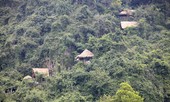 Kiến nghị ngừng làm cáp treo tại vùng lõi Phong Nha -Kẻ Bàng