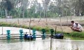 Báo động về tai nạn điện sinh hoạt