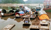 Hạ Long tương phản Kỳ 2: Những kình ngư “mắc cạn”