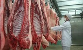 Thịt lợn tìm “lối thoát” sang thị trường Nhật, Hàn Quốc