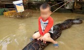 Tin mới vụ cháu bé cưỡi trăn 'khủng' ở Thanh Hóa