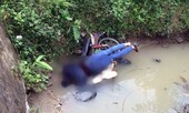 Phát hiện thi thể người đàn ông cùng xe máy dưới cống nước