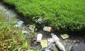 Rau bẩn 'trốn' trong tủ lạnh ở Trường mầm non Hoàng Liệt
