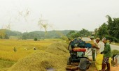 3 thanh niên bị máy tuốt lúa "nghiền" nát tay