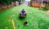 Dân Chương Mỹ vẫn khốn khổ gần một tuần sau sự cố vỡ đê