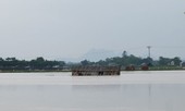 Sự cố tràn đê tại Hà Nội: Nhiều hộ chăn nuôi trắng tay