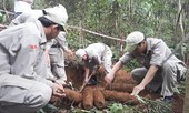 Kinh hãi phát hiện hầm đạn pháo 'khủng' trong vườn nhà
