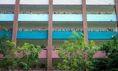 Học sinh trường Đoàn Thị Điểm ngã từ tầng 2 xuống đất