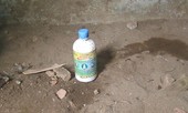 Mẹ mang thai cùng con gái uống thuốc diệt cỏ tự tử