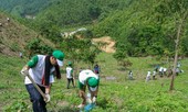 Tham gia thi viết Về Rừng và Môi trường lần thứ hai