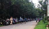 Người đàn ông nghi bị sát hại trong rừng cao su