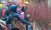 Thống nhất phương án nghỉ trước Tết Nguyên đán 2 ngày