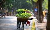 Thời tiết ngày 20/10: Hà Nội nắng đẹp, Sài Gòn có mưa