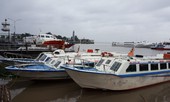 Hàng loạt tàu cao tốc nằm bờ, tránh áp thấp nhiệt đới