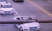 Cần trục khổng lồ đè bẹp xe ôtô, tài xế sống sót thần kỳ