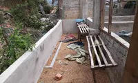 Tình tiết mới trong vụ nữ sinh giao gà bị sát hại chiều 30 Tết