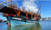 Tàu cá của ngư dân Quảng Ngãi bị tàu của nước ngoài uy hiếp và cướp tài sản