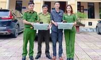 Người dân giao nộp nhiều cá thể rùa quý hiếm
