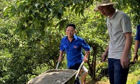 Bí thư Đoàn người Mông làm du lịch 