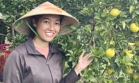 Cô gái Bình Dương rời trời Tây về quê làm nông dân, thành công thu tiền tỷ