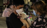 Cuối tuần, hội những bạn trẻ yêu thú cưng lại tụ họp rôm rả tại phố đi bộ Nguyễn Huệ
