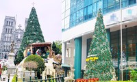  Nhìn gần những cây thông Noel &apos;khổng lồ&apos; đón Giáng sinh tại Hà Nội