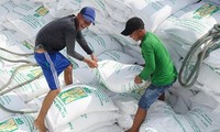 Theo thống kê của Tổng cục Hải quan, tính đến 17/4, mới chỉ có 6.810/400.000 tấn gạo hạn ngạch được xuất khẩu trong tháng 4