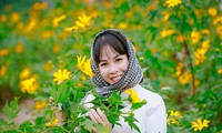 Người truyền lửa văn học bằng cả trái tim