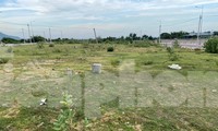 Bà Rịa-Vũng Tàu thu hồi đất khu công nghiệp bỏ hoang