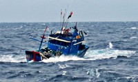 Chìm tàu cá, 14 thuyền viên trôi nổi trên biển chờ cứu nạn