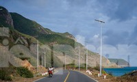 Đường chạy Tiền Phong Marathon 2022 lãng mạn trong ánh nắng chiều