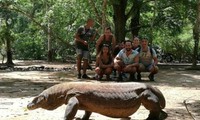 Quốc gia duy nhất nào có thể ngắm rồng Komodo trong tự nhiên?
