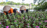Hồ Hoàn Kiếm gọn gàng, sẵn sàng đón ngày Quốc khánh