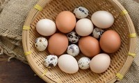 Trứng gà tăng giá gấp đôi vẫn &apos;cháy&apos; hàng