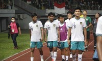 Chuyên gia Indonesia: &apos;Chúng ta tự ra luật thì chúng ta phải chấp hành&apos;