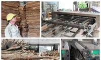 Nhiều cơ sở chế biến gỗ dừng hoạt động