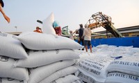 Là &apos;cường quốc&apos; xuất khẩu gạo, vì sao Việt Nam phải nhập gần 1 triệu tấn gạo?