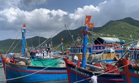 Tàu thuyền neo đậu hàng loạt tại cảng cá Vĩnh Trường vì giá xăng dầu tăng cao. Ảnh: Thục Hiền